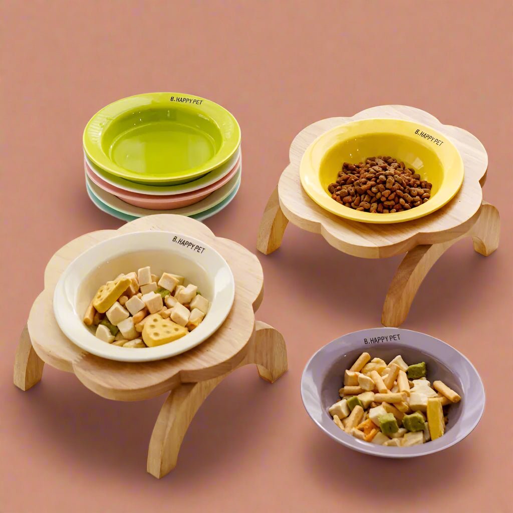 Elevated Ceramic Pet Bowl - Pettorio