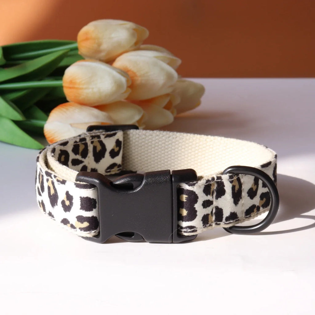 Pettorio Leopard Collar - Pettorio