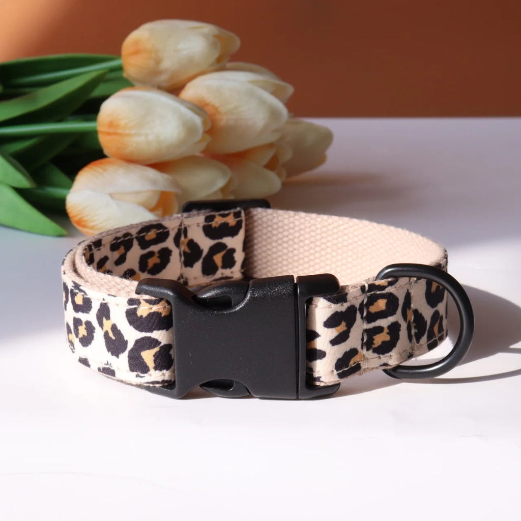 Pettorio Leopard Collar - Pettorio