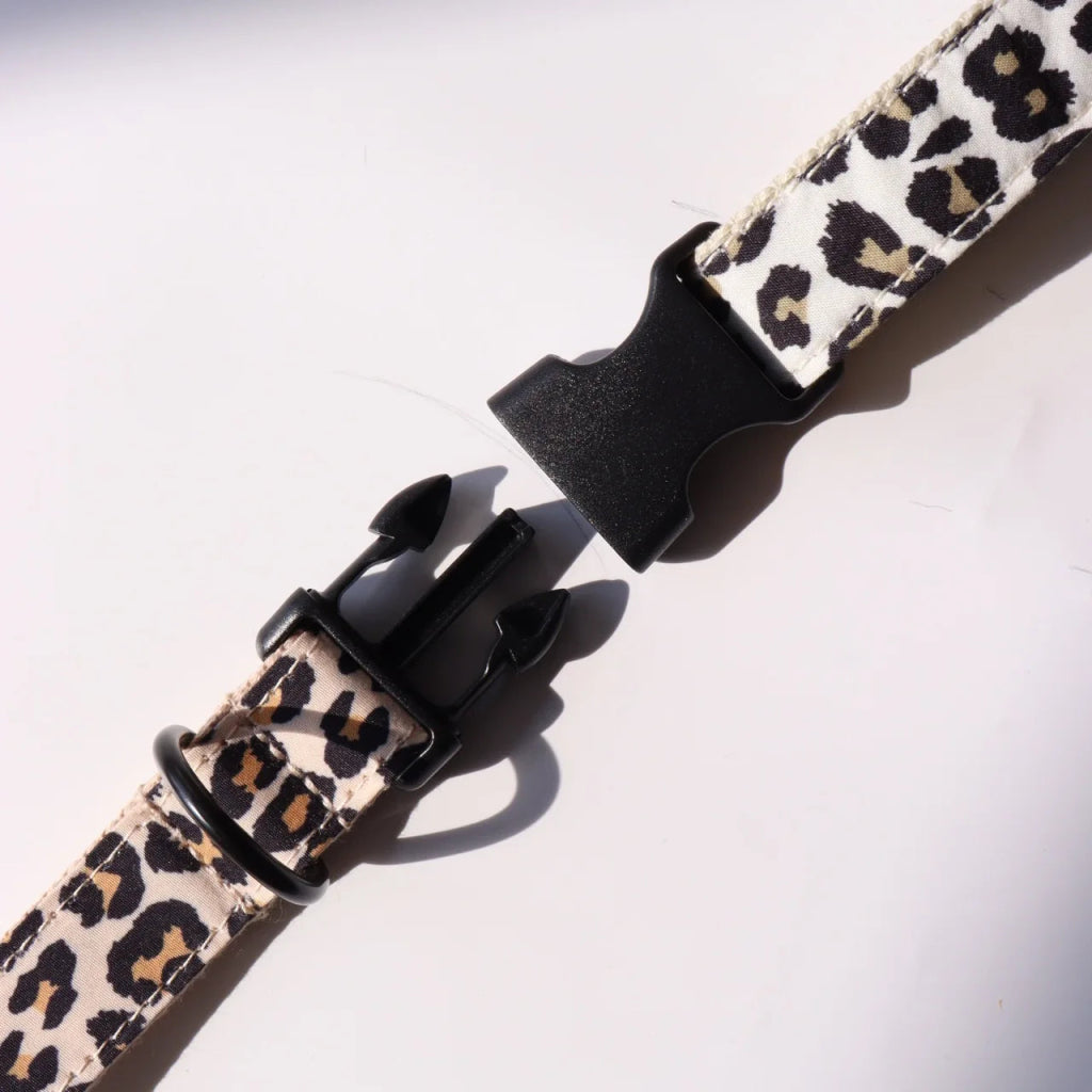 Pettorio Leopard Collar - Pettorio