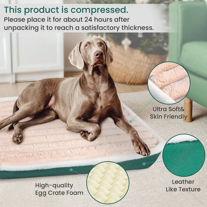 Prime Orthopedic Pet Bed - Salamander Prime