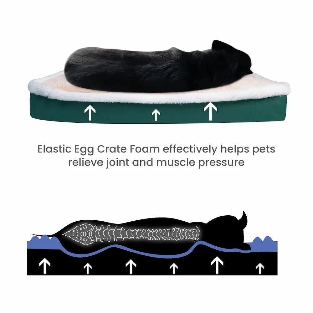 Prime Orthopedic Pet Bed - Salamander Prime