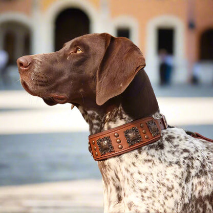 Venetian Prime Collar - Salamander Prime